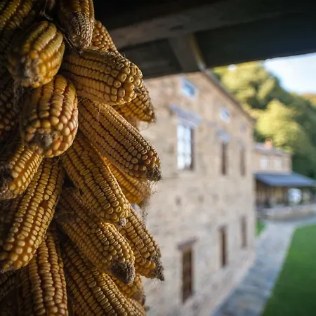 Aldea Rural Y Gastro Restaurante Casona De *