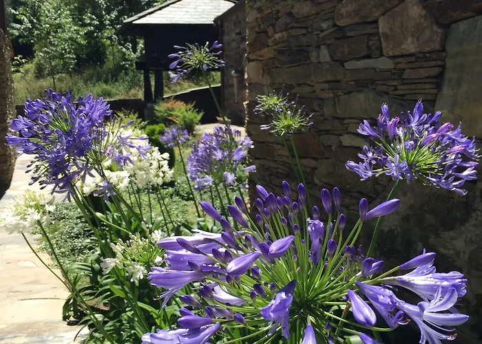 ヴィラ Aldea Rural Y Gastro Restaurante Casona De *